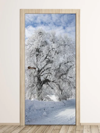 Fototapeta na drzwi ośnieżone drzewo FP 6145