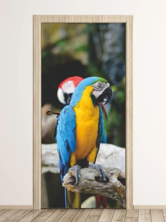 Fototapeta na drzwi papuga FP 6203