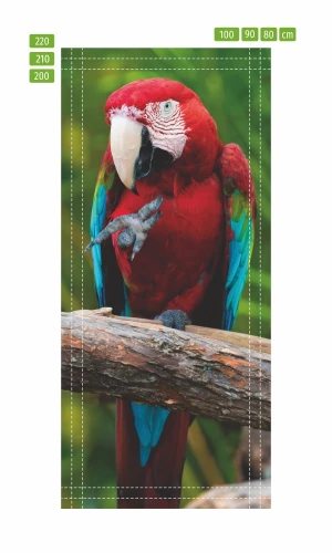 Fototapeta na drzwi papuga FP 6211