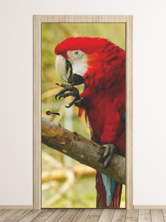 Fototapeta na drzwi papuga P21