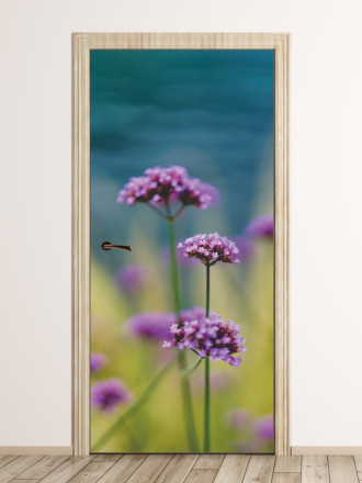 Fototapeta na drzwi polne kwiaty FP 6182