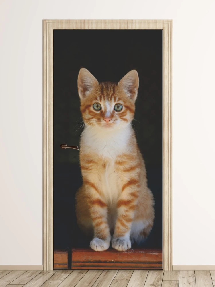 Fototapeta na drzwi rudy pręgowany kot FP 6168