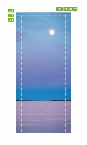Fototapeta na drzwi śnieg w blasku księżyca FP 6146