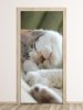 Fototapeta na drzwi śpiący kot P130