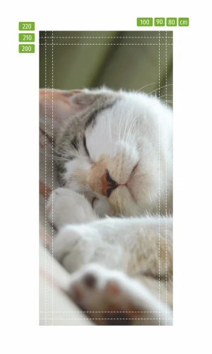 Fototapeta na drzwi śpiący kot P130