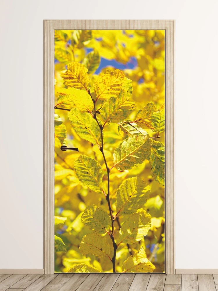 Fototapeta na drzwi żółte jesienne liście FP 6077