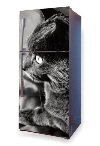 Fototapeta na lodówkę czarny kot P13