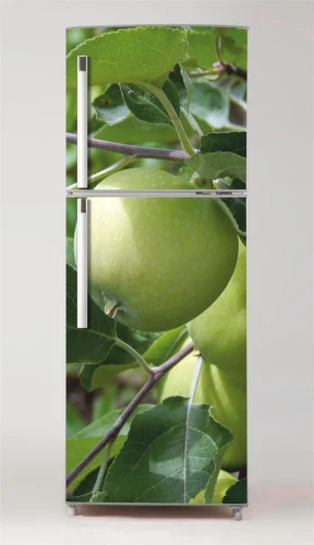 Fototapeta na lodówkę jabłoń P469 