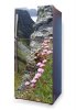 Fototapeta na lodówkę kwiaty w górach P54