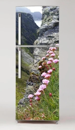 Fototapeta na lodówkę kwiaty w górach P54