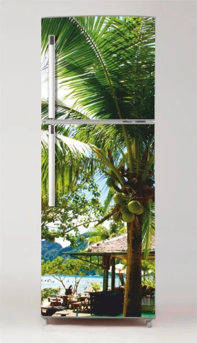 Fototapeta na lodówkę palma kokosowa P476