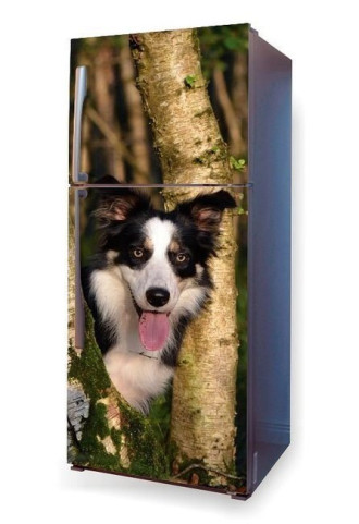 Fototapeta na lodówkę pies w lesie P6
