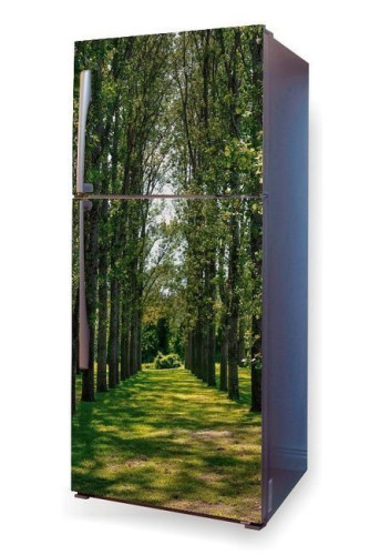 Fototapeta na lodówkę rząd drzew P68