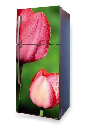 Fototapeta na lodówkę tulipany P8