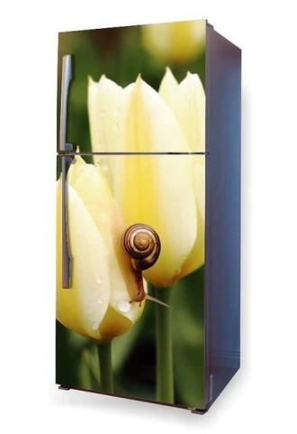 Fototapeta na lodówkę tulipany i ślimak P15