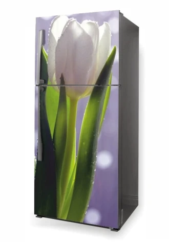 Fototapeta na lodówkę tulipany P632