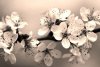 Fototapeta na ścianę białe kwiaty, odcień niebieskiego FP 366