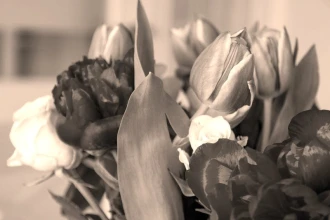 Fototapeta na ścianę bukiet tulipanów i piwoni FP 324