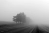 Fototapeta na ścianę droga pokryta mgłą FP 2031