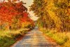 Fototapeta na ścianę droga przez las w jesienny dzień FP 5318