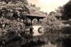 Fototapeta na ścianę japoński mostek z daszkiem FP 4331