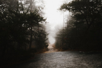 Fototapeta na ścianę leśna droga za mgłą FP 3867