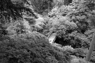 Fototapeta na ścianę mostek w gęstym ogrodzie FP 4101