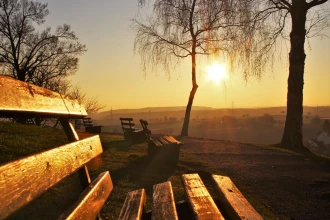 Fototapeta na ścianę parkowe ławki w blasku słońca FP 3415