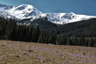 Fototapeta na ścianę pierwsze oznaki wiosny w Tatrach FP 5639