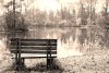 Fototapeta na ścianę romantyczna ławka na brzegu jeziora FP 5975