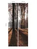 Indywidualna fototapeta samoprzylepna laminowana mat/błysk wzór "jesień w lesie 249" w rozmiarze 233x 104 cm