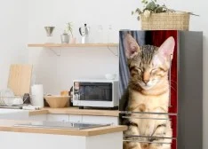 Okleiny na lodówkę