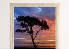 Fototapety na drzwi las, drzewa