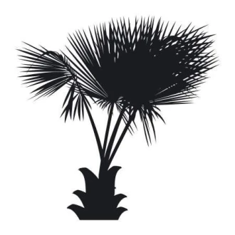 Naklejka palma 2042