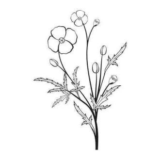 Naklejka 03X 15 kwiaty 1811