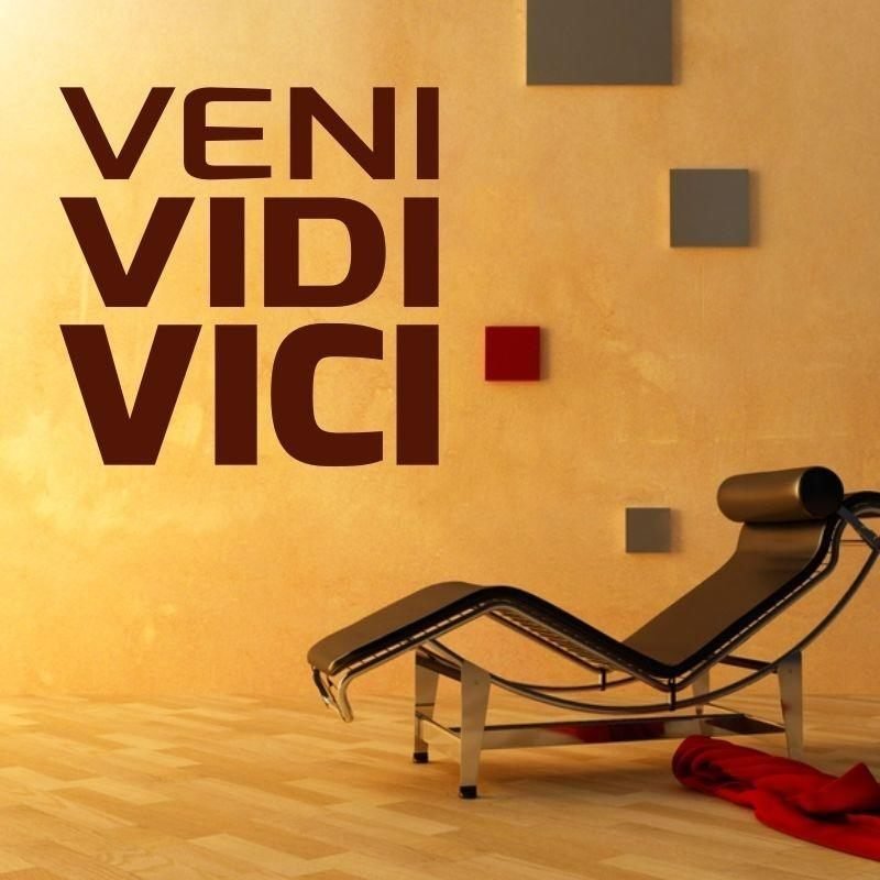 naklejka 03X 16 veni vidi vici 1705