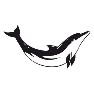 Naklejka delfin 1685