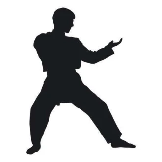 Naklejka 03X 08 karate 1863