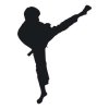 Naklejka 03X 08 karate 1862