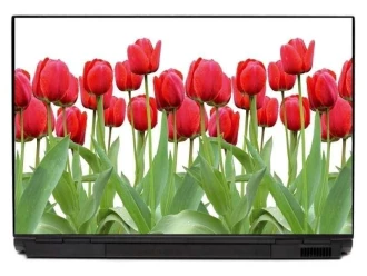 Naklejka na laptopa czerwone tulipany 0036