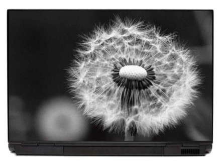 Naklejka na laptopa dmuchawiec 0041