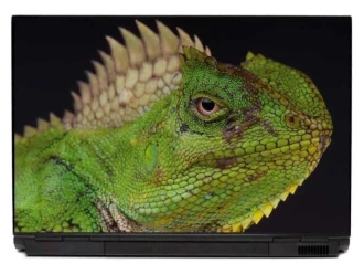 Naklejka na laptopa iguana 0047