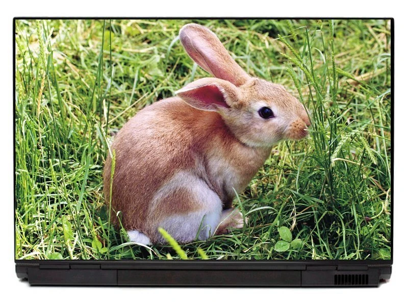 Naklejka na laptopa królik w trawie P407