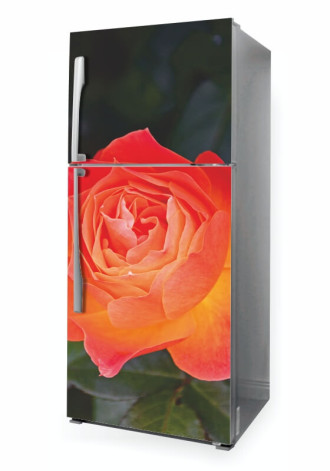 Naklejka na lodówkę róża P1111