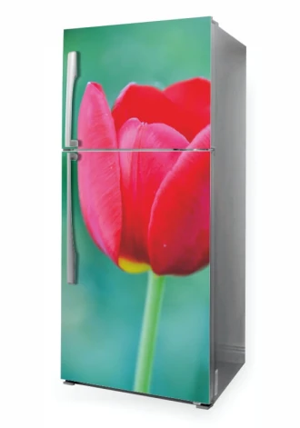 Naklejka na lodówkę tulipan P1115