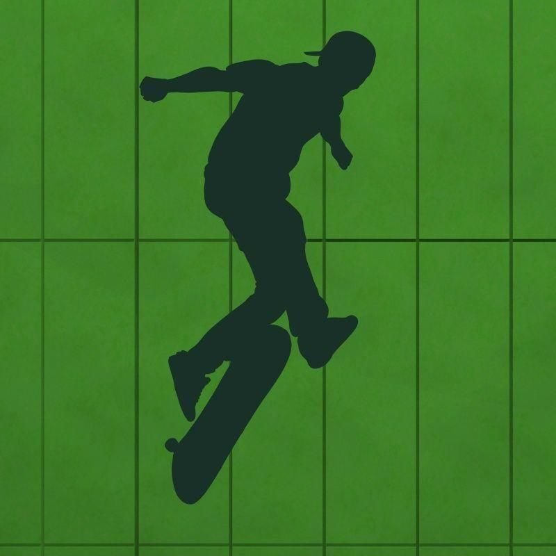 naklejka skater 1019