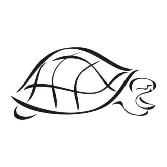 Naklejka żółw 1999