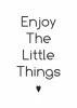 Plakat Enjoy the little things 021