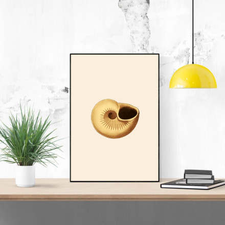 Plakat muszla 089
