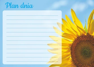 Plan dnia tablica suchościeralna słonecznik 354